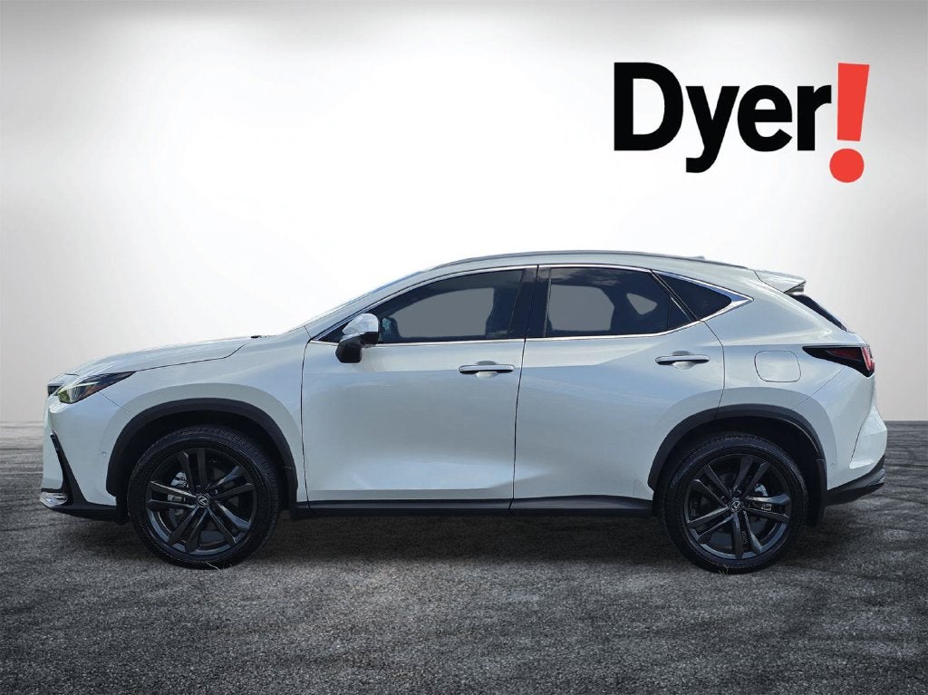 2025 Lexus NX 450h+ Luxury